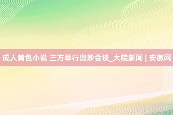 成人黄色小说 三方举行奥妙会谈_大皖新闻 | 安徽网