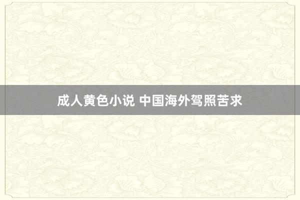 成人黄色小说 中国海外驾照苦求