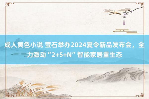 成人黄色小说 萤石举办2024夏令新品发布会，全力激动“2+5+N”智能家居重生态
