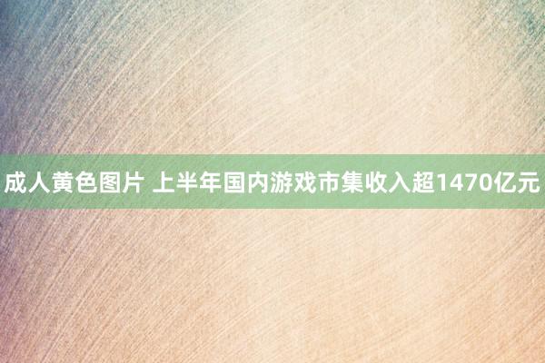 成人黄色图片 上半年国内游戏市集收入超1470亿元
