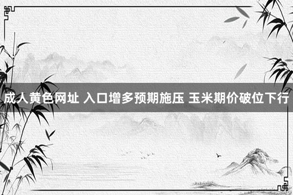成人黄色网址 入口增多预期施压 玉米期价破位下行