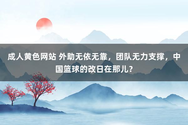 成人黄色网站 外助无依无靠，团队无力支撑，中国篮球的改日在那儿？