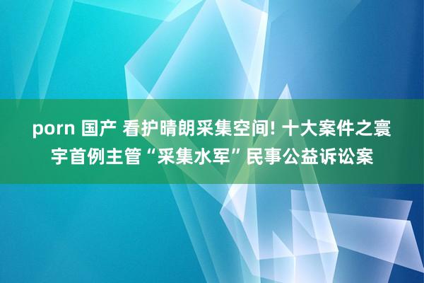 porn 国产 看护晴朗采集空间! 十大案件之寰宇首例主管“采集水军”民事公益诉讼案