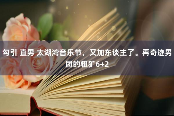 勾引 直男 太湖湾音乐节，又加东谈主了。再奇迹男团的粗犷6+2