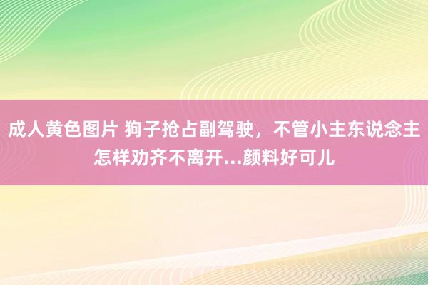 成人黄色图片 狗子抢占副驾驶，不管小主东说念主怎样劝齐不离开...颜料好可儿