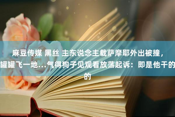 麻豆传媒 黑丝 主东说念主载萨摩耶外出被撞，罐罐飞一地…气得狗子见观看放荡起诉：即是他干的