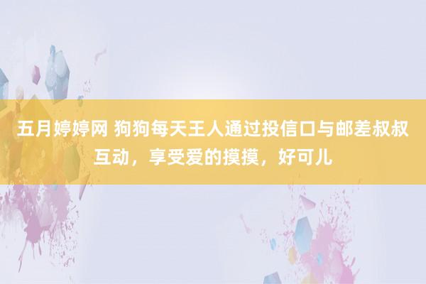 五月婷婷网 狗狗每天王人通过投信口与邮差叔叔互动，享受爱的摸摸，好可儿