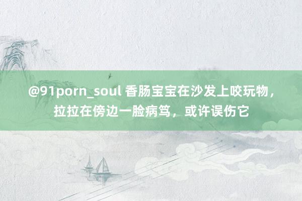 @91porn_soul 香肠宝宝在沙发上咬玩物，拉拉在傍边一脸病笃，或许误伤它